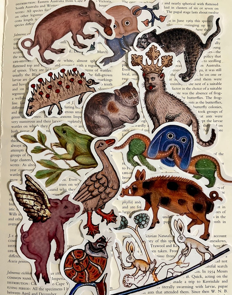 K&ouml;nnte beinhalten: Eine Sammlung bunter Aufkleber mit verschiedenen Tieren, darunter eine Gans, ein Schwein, eine Katze, ein Kaninchen und eine Schnecke. Die Aufkleber sind auf wei&szlig;em Hintergrund gedruckt und haben einen Vintage-Look.