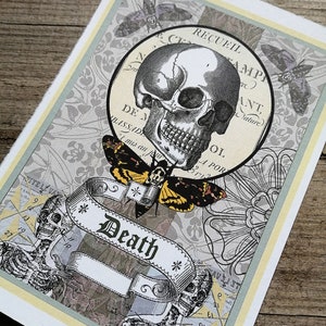 Tod Tarot Karte Druck - illustriertKunstdruck mit Schädel und Tod Kopf Hawkmoth Motte