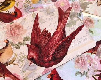 Pegatinas de cardenales de estilo vintage, pegatinas de pájaros florales, scrapbooking