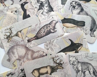 Vintage Arctic Animals Sticker Set, Scrapbooking, Journal