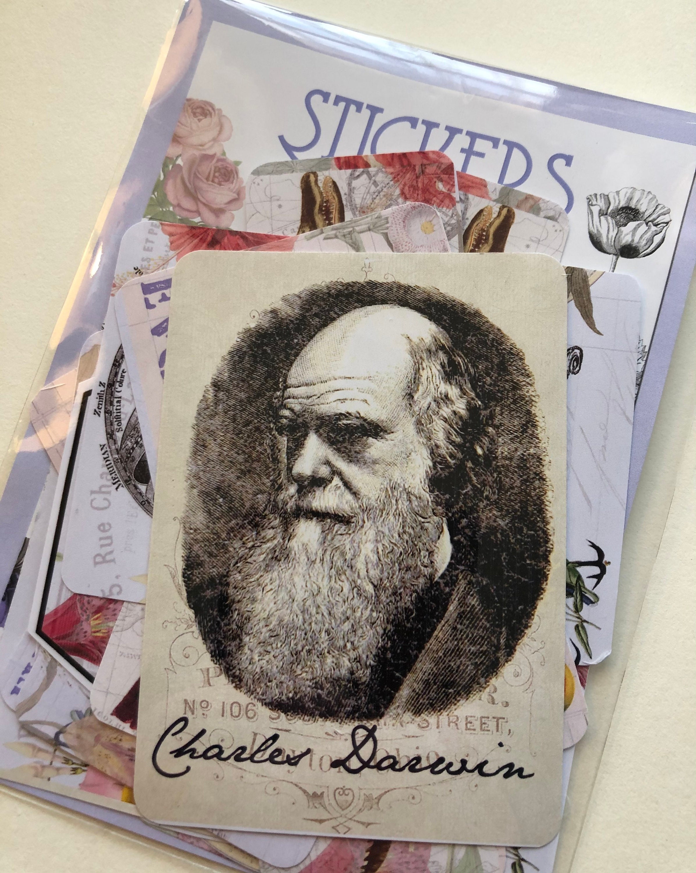 Charles Darwin Stickers - Beautiful Botanic Style Stickers - Etsy