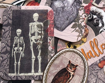May include: A collection of vintage Halloween themed paper ephemera with images of skeletons, owls, hearts, and a black cat. The paper ephemera is printed on a variety of papers with different textures and colors. The ephemera is perfect for scrapbooking, card making, and other crafting projects.