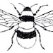 White Bee Gifts