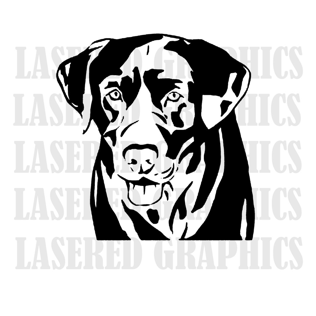 Labrador Svg Files for Cricut Dog Clipart Yellow Lab Breed - Etsy