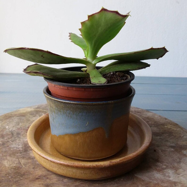 Pottery Plant Pot Planter With Dish Succulent Planter With Pottery Plant Pot Planter With Dish Succulent Planter With