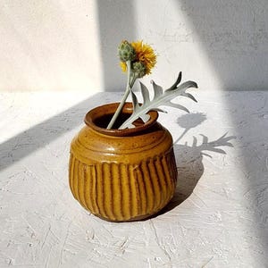 以下が含まれることがあります： マスタードイエローの小さな丸い陶器製の花瓶。本体には垂直の畝模様があり、縁は滑らかに広がっています。鮮やかな黄色のあざみの花と、ギザギザした銀緑色の葉がついた茎が一本、花瓶の中に挿されています。