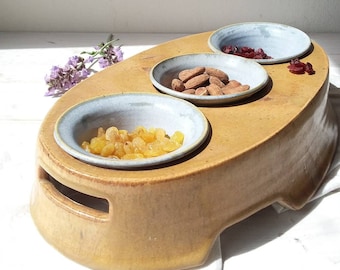 Blue and Brown Stoneware Serving Bowl Set, 3 Ceramic Bowls With Serving Tray, Handmade Triple Condiment Pottery Bowl Set