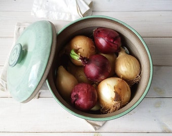 3XL Ceramic Potato or Onion Keeper, 9" Green Gray Potato or Onion Storage Container