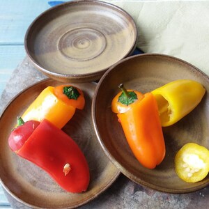 小さな陶器の皿、小さなスナック皿、スナック皿、黒い皿、素朴な陶器、茶色の陶器の皿、陶器のリング皿、陶器のケーキ皿