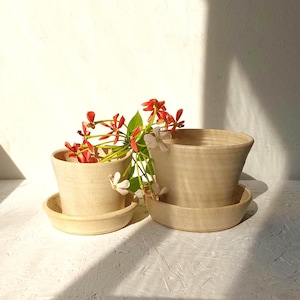 Pottery Plant Pot, Planter w Dish, Succulent Planter With Hole, Ceramic Plant Pot And Plate, Beige Pottery Planter, Plant Pot with Drainage