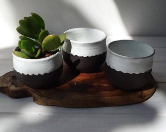 Ceramic Planter,  Succulent Planter, White Planter, Black Planter, Ceramic Plant Pot, Pottery Planter, Tea Cup, Coffee Mug, Herbal Tea Mug