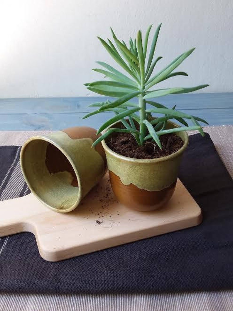 Ceramic Planter, Succulent Planter, Plant Pot, Ceramic Plant Pot, Pottery Planter, Small Coffee Mug, Tea Cup, Coffee Mug, Herbal Tea Mug image 2
