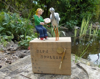 Bird Spotting automata