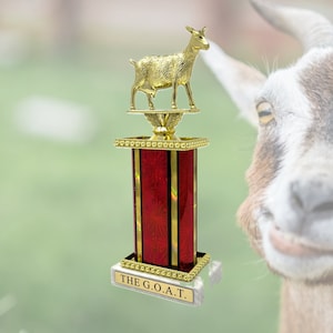 GOAT - Greatest of all time Award on Round Base Fantasy Champion