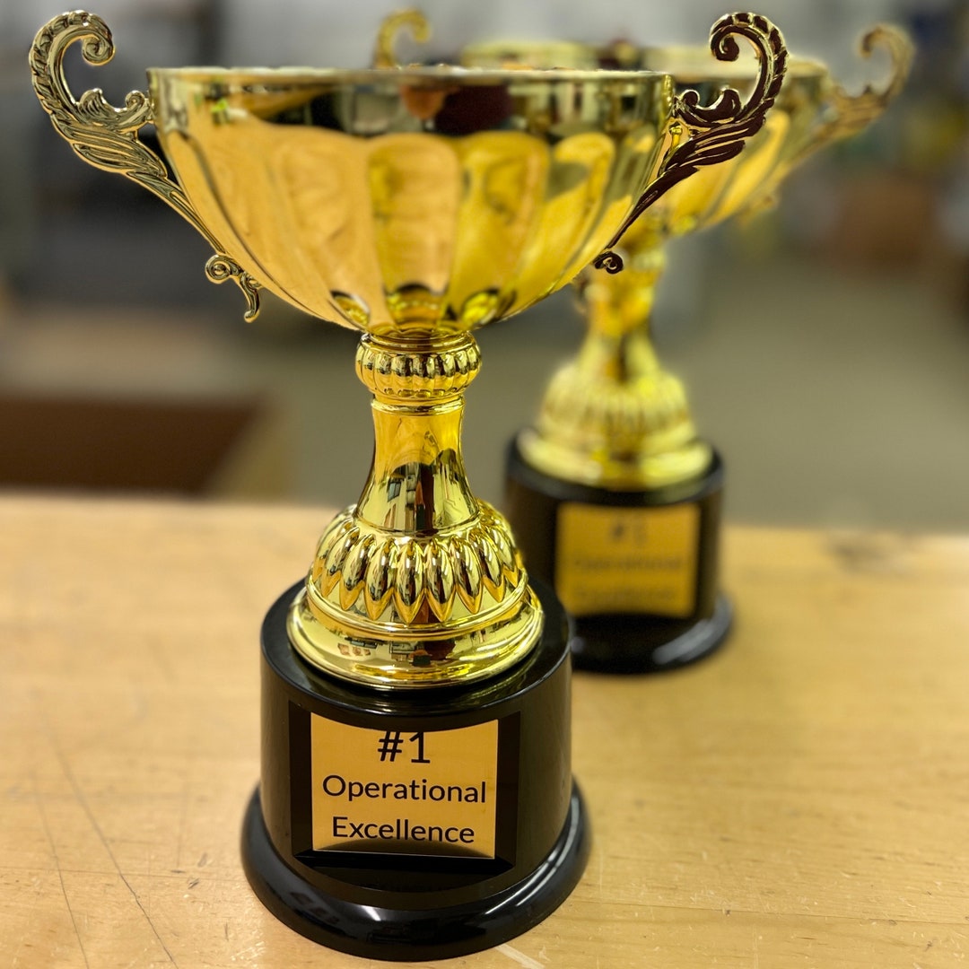 Real Metal Cup Trophy in Gold or Silver Trophy Award, Engraved