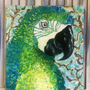 Parrot Print, Colorful and Ready to Frame, 11 x 14&quot;