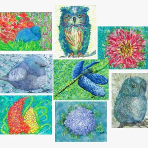 Set of 8 Colorful Cards with bluebird, hydrangea, dragonfly and more,   5 x 7&quot; EACH