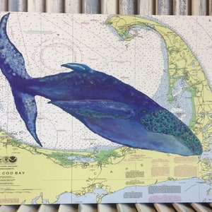 Cape Cod kunst; Massachusetts gift; Cape Cod walvis kunst; Massachusetts themed gift; Cape Cod nautische grafiek Art Print; 11 x 14 "
