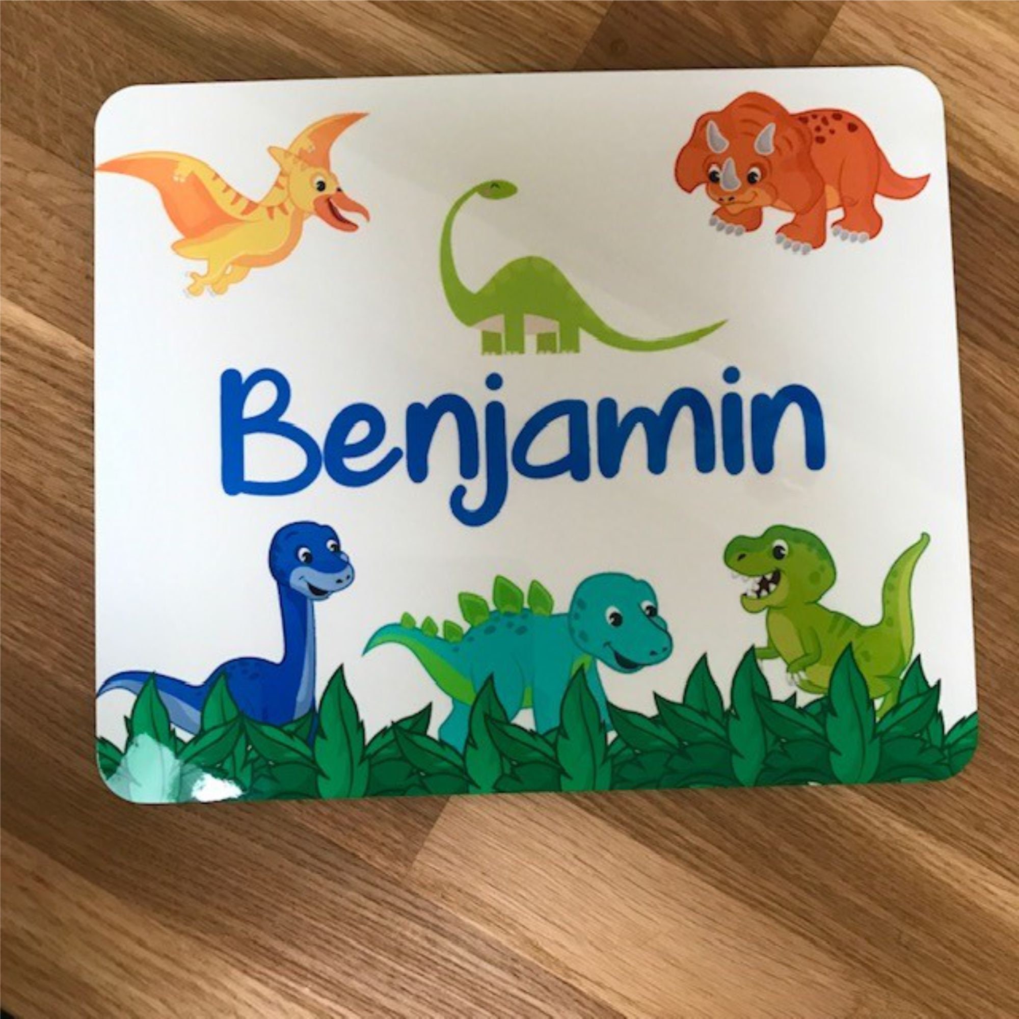 Mantel individual y posavasos de dinosaurios para niños - Etsy España Mantel individual y posavasos de dinosaurios para niños - Etsy España