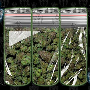 May include: Three clear plastic bags filled with green and brown dried cannabis buds.