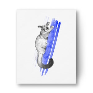 Possum Print