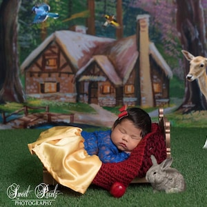 Storybook Cottage - Wrinkle Free Fabric - Photography Backdrop