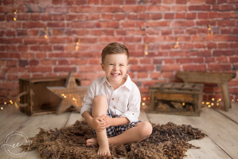 Brick House - Wrinkle Free Fabric - shops Photography Backdrop