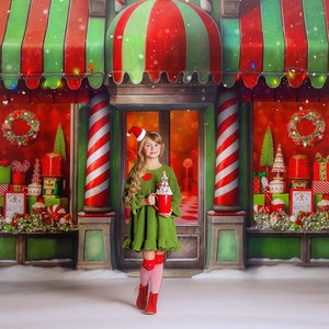Who-Town Christmas Store- Photography Printed Backdrop- Fabric Backdrop- Polypaper Backdrop- Storefront- Holiday Store