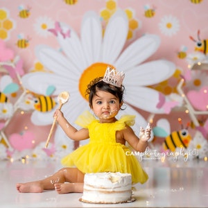 Betterbee - Bees, Daisies, Flowers, Honeybee , 1st Birthday - Photography Backdrop