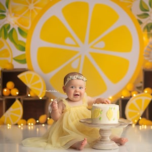 Easy Peasy Lemon Squeezy -Photography Printed Backdrop- Fabric Backdrop- Polypaper Backdrop-fruit wallpaper slice