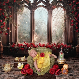 Belle&#39;s Castle Window - Enchanted Castle, Rose Princess - Photography Backdrop