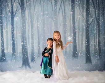 Frozen Forest - Photography Printed Backdrop- Fabric Backdrop- Polypaper Backdrop- Let it Go- Frozen- Winter