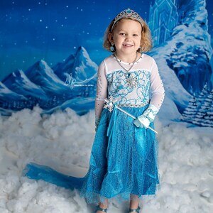 Let It Go -Photography Printed Backdrop- Fabric Backdrop- Polypaper Backdrop- Elsa- Frozen- Disney