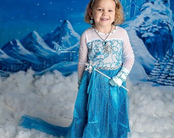 Let It Go -Photography Printed Backdrop- Fabric Backdrop- Polypaper Backdrop- Elsa- Frozen- Disney