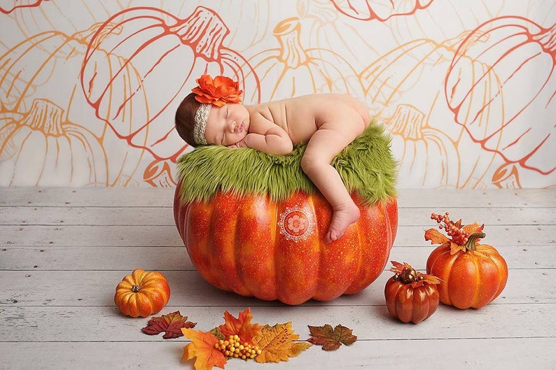 Wrinkle Free Fabric Backdrop Fall Poly Paper Backdrop Pumpkin Harvest Photography Printed Backdrop Newborn Photography Backdrop