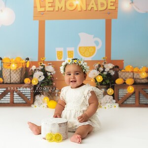 Squeeze The Day - Wrinkle Free Fabric - Photography Backdrop