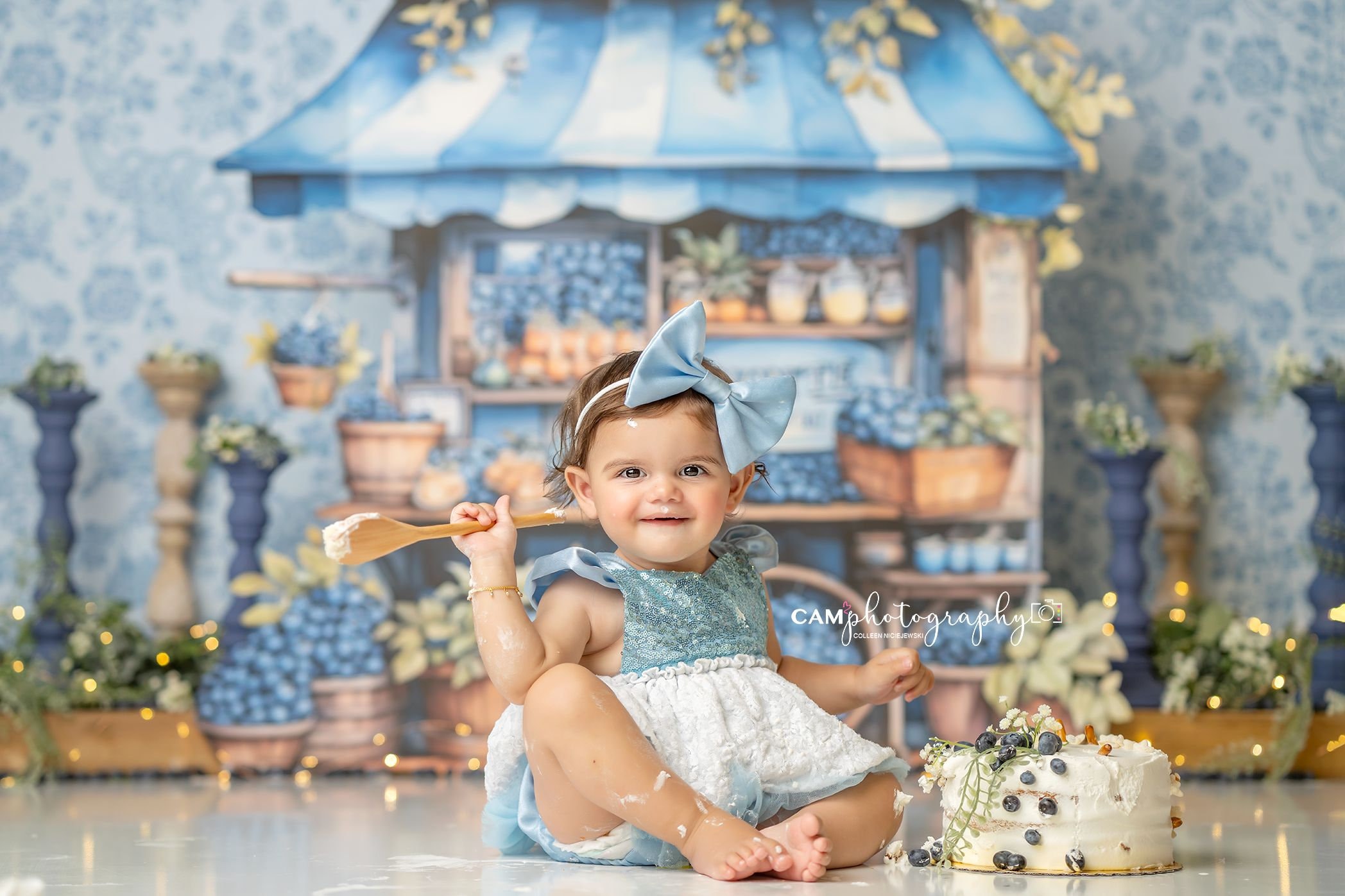 Blueberry Market - Photography Backdrop - Blueberries , Fruit Stand, 1st Birthday