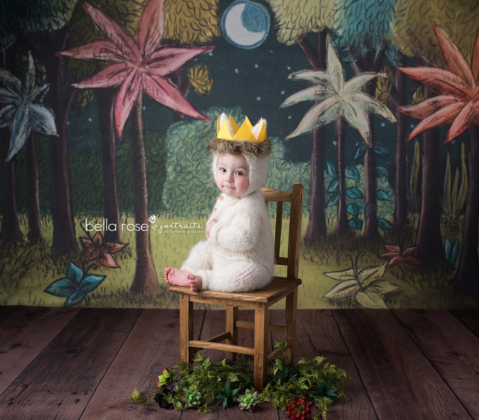 Where the Wild Things Are Photography Printed Backdrop Prop - Etsy
