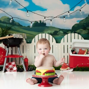 Grill Master -Photography Printed Backdrop- Fabric Backdrop- Polypaper Backdrop- BBQ- Barbecue- Cookout- Picnic- Summer