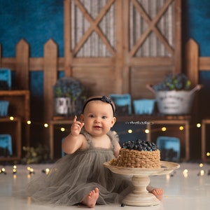 Blueberry Summer - Photography Backdrop - Rustic, Blueberries, Fruit Birthday