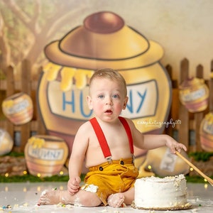 Hunny Bee - Photography Printed Backdrop - Fabric Backdrop - Poly Paper Backdrop - Honey - Bear - Story book - Honey Pot