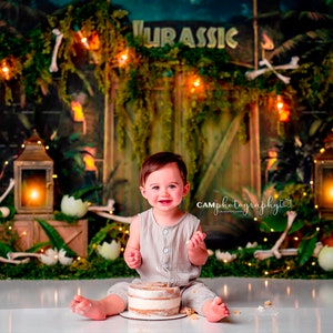 We Have A T-Rex - Photography Printed Backdrop- Fabric Backdrop- Polypaper Backdrop- Dino- Jurassic Park- Dino Land- Boy Backdrop