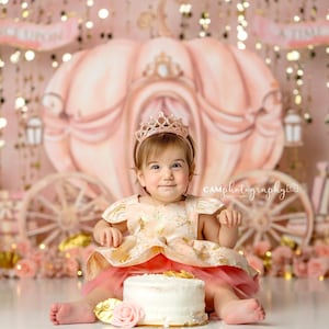 Once Upon a Rosy Carriage - Wrinkle Free Fabric - Photography Backdrop - Poly Paper - Cake Smash - Princess - Pink - Rosegold - Gold