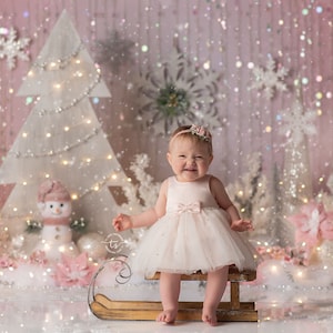 Rosy Winter Wonderland - Photography Printed Backdrop- Fabric Backdrop- Polypaper Backdrop- Pink- Winter Wonderland- Pink Christmas