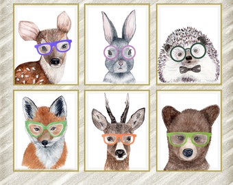 14++ Top Animals with glasses wall art images info