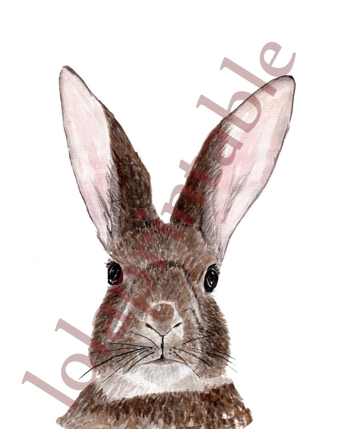 Forest Animal Prints rabbit DIGITAL Print Etsy