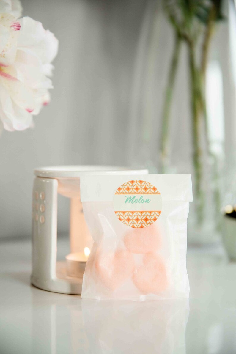 sachet de 3 fondants de parfum MELON