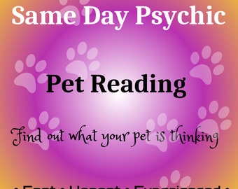 Same Day Psychic Pet Reading - Fast & Experienced UK Psychic Medium -