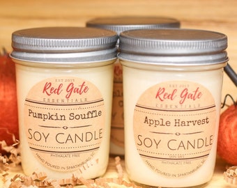 Lot of 3 Soy Candles in 8 oz Jelly Jars, Hand Poured, You Choose Scents! Christmas Soy Candles, Fall Soy Candles
