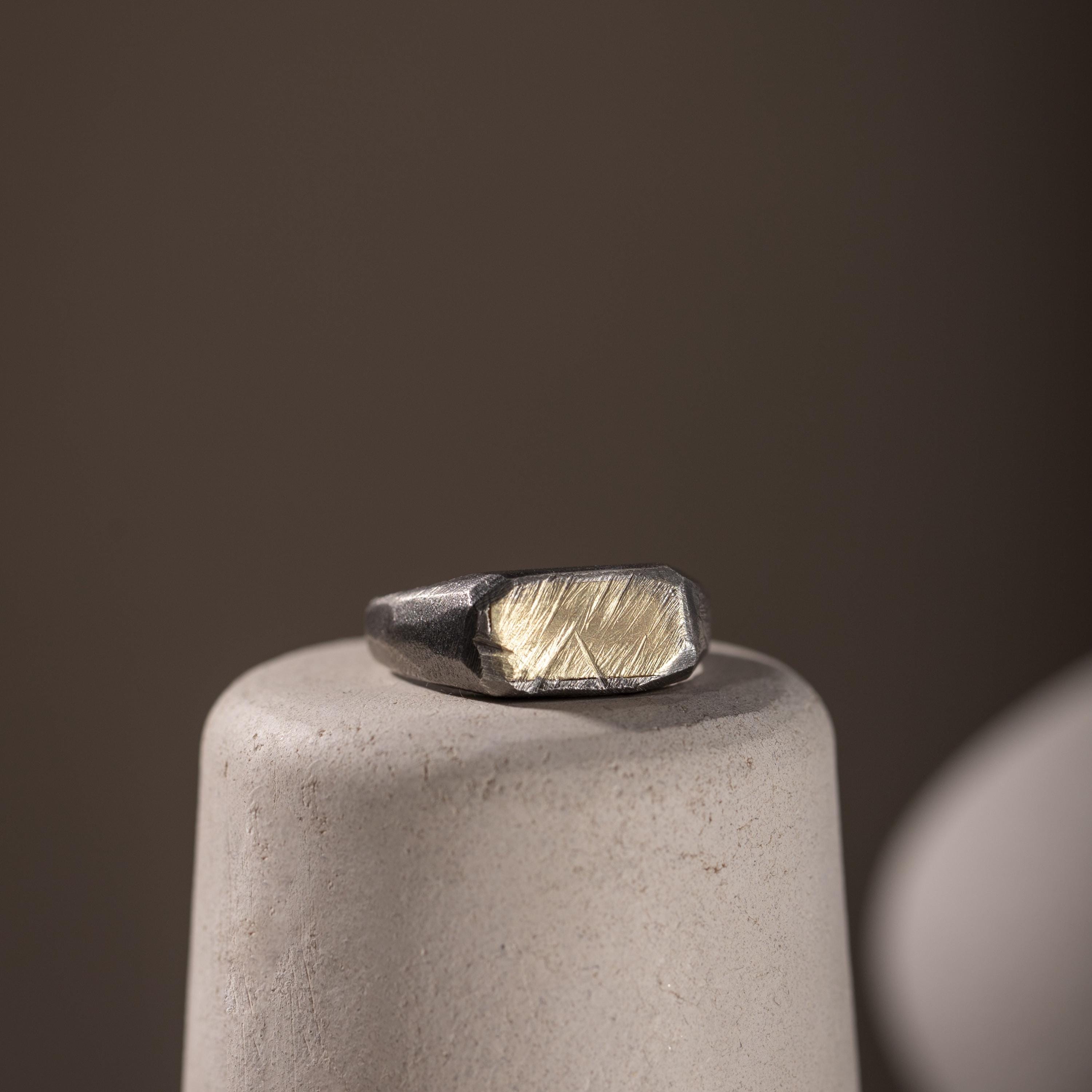 Rectangle Signet Ring Men 14K Gold Oxidized Silver, Flat Top Pinky
